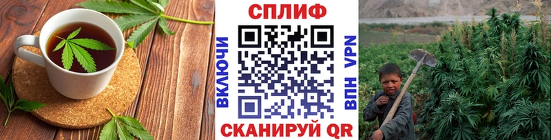 Печенье с ТГК конопля  Купить где  Магас 