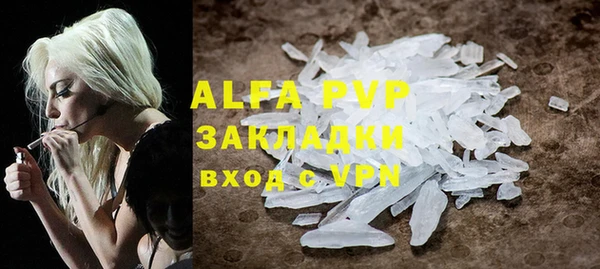 ПСИЛОЦИБИНОВЫЕ ГРИБЫ Вязьма