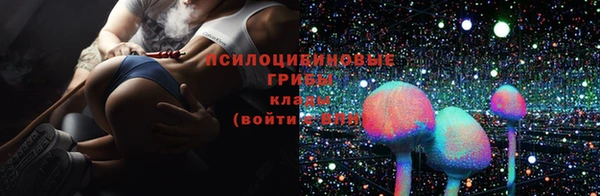 а пвп мука Верхний Тагил