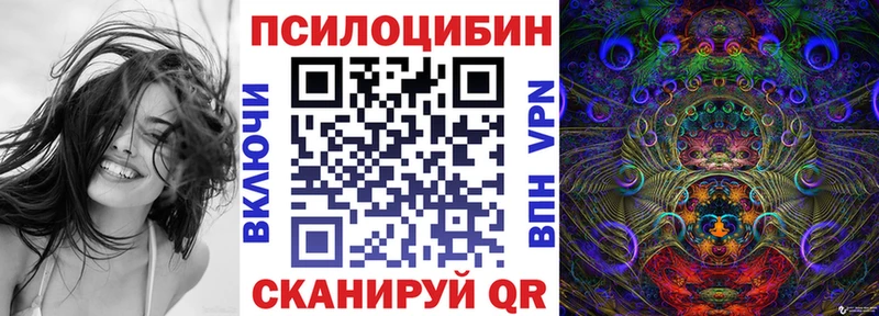 Галлюциногенные грибы Cubensis  Купить закладки  Магас 